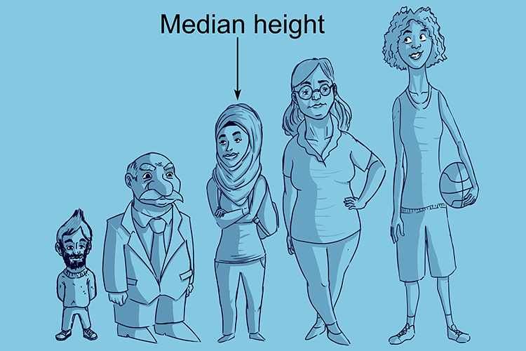 The median in this example is the middle height